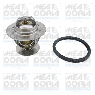 Thermostat, coolant